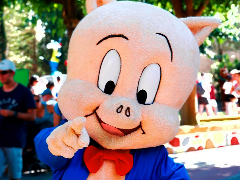 Looney Tunes Meet Greet Festival Shows Parque Warner Madrid main