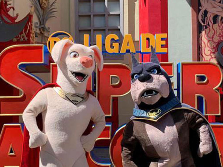 Conoce a Ace y Krypto de DC Liga de Supermascotas  