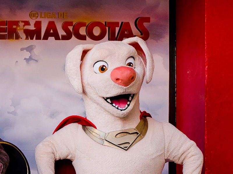Meet Ace and Krypto of DC Supermascots League