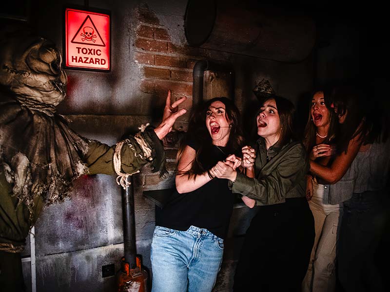 Grupos Halloween