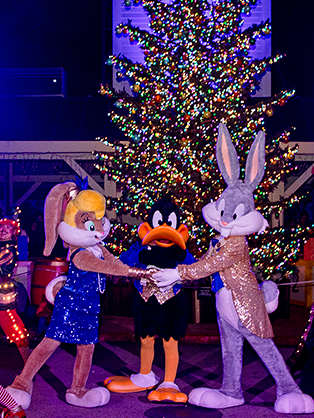 Navidad Parque Warner Madrid