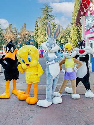 Parque Warner Madrid