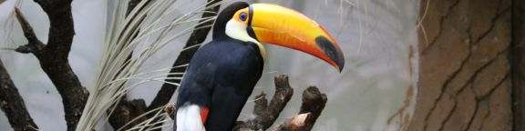 Parque de Atracciones