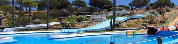 Cartaya