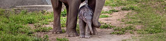 Zoo